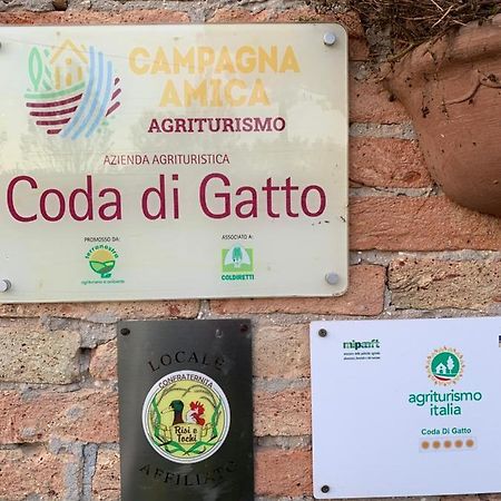 Agriturismo Coda Di Gatto Eraclea Εξωτερικό φωτογραφία